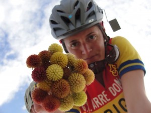 Desert Flowers_Ellee-Thalheimer-pic