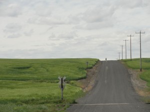 WA state wheat fields_bike rider on horizon