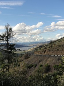 Wa state_River gorge