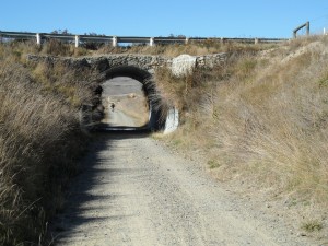 17 Trail thru road overpass