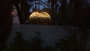 Gazebo at night with roof of tiny lights