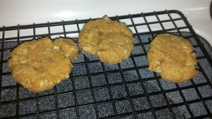 Oatmeal Peanut Butter Cookies -