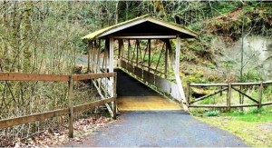 Olympic Disco Trail Bridge - cropped