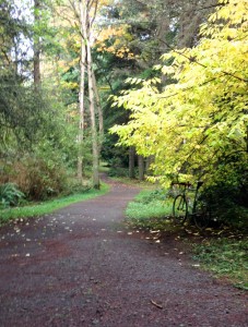 Lincoln Park gravel path