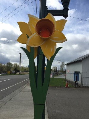 Giant daffodil art piece and bike lane, Sumner, WA. David Killmon photo 2015