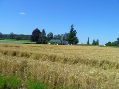 farm