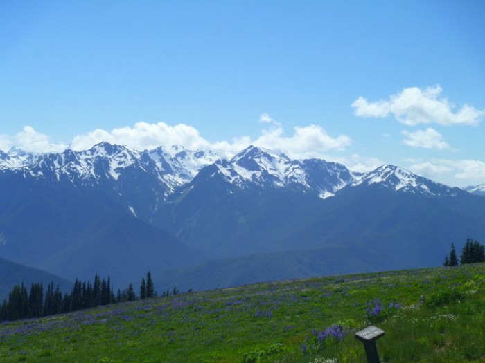 Hurricane Ridge