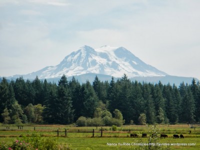 mount-rainer-blog-post