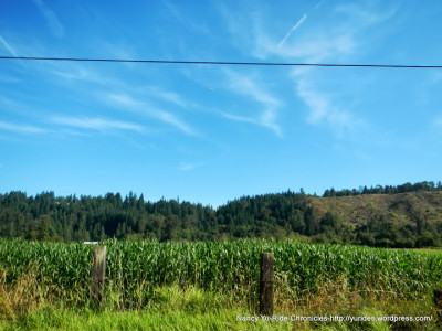 yu-aubrun-green-river-ride-cornfields