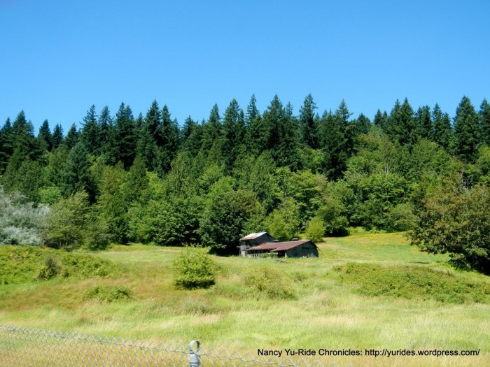 Lake sammamish header