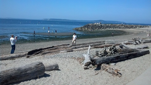 are dogs allowed at edmonds beach