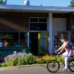2015: A Big Year for Bicycling in Washington State