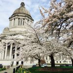 Growing Momentum: The Washington Bikes’ 2018 Legislative Agenda
